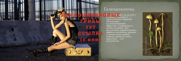 герыч Зеленокумск
