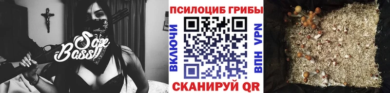 Псилоцибиновые грибы Psilocybe  Купить закладки  Тарко-Сале 